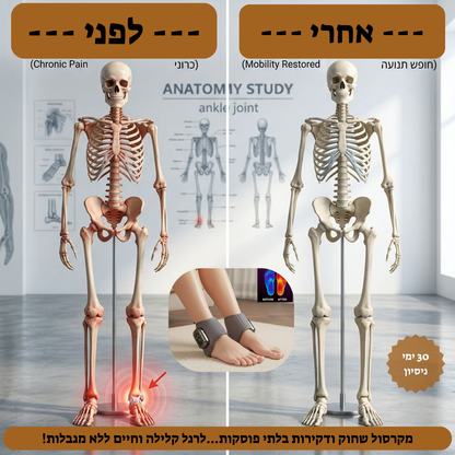 מעסה הקרסול של LORYX